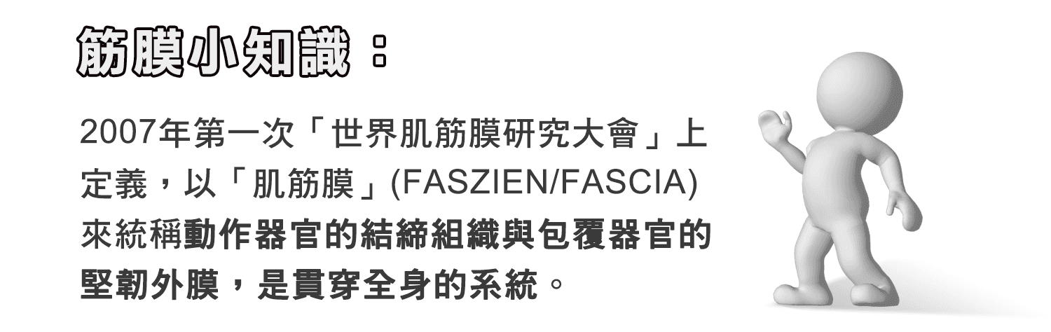 身體智慧_脊椎保健達人_鄭雲龍_課程_強背術_筋膜_二日班_腰痠背痛_椎間盤_滑脫_骨刺_筋膜知識_02