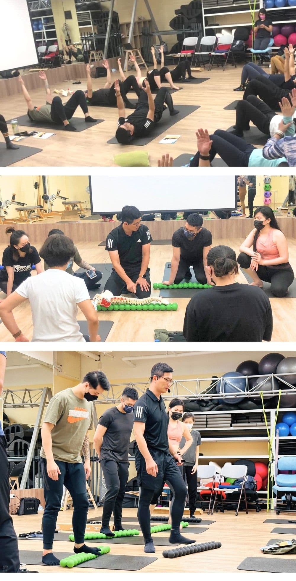 SPINEFITTER®國際認證課程,脊給力健身按摩器,HLA認證工作坊